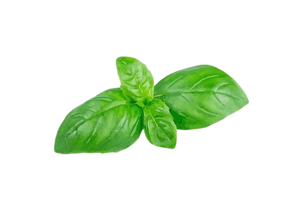 Floating Basil